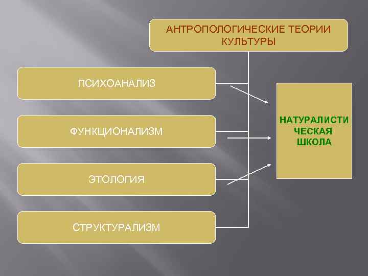 АНТРОПОЛОГИЧЕСКИЕ ТЕОРИИ КУЛЬТУРЫ ПСИХОАНАЛИЗ ФУНКЦИОНАЛИЗМ ЭТОЛОГИЯ СТРУКТУРАЛИЗМ НАТУРАЛИСТИ ЧЕСКАЯ ШКОЛА 