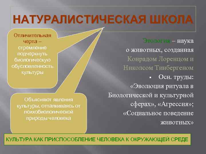 НАТУРАЛИСТИЧЕСКАЯ ШКОЛА Отличительная черта – стремление подчеркнуть биологическую обусловленность культуры Объясняют явления культуры, отталкиваясь