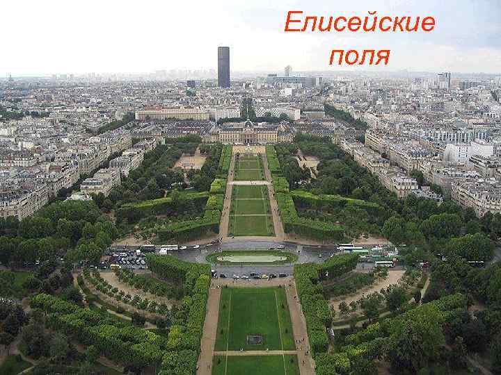 Елисейские поля 