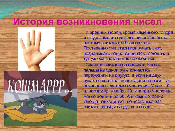 История возникновения чисел У древних людей, кроме каменного топора и шкуры вместо одежды, ничего