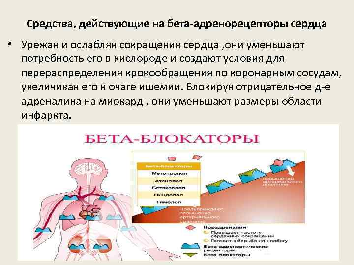 Средства, действующие на бета-адренорецепторы сердца • Урежая и ослабляя сокращения сердца , они уменьшают