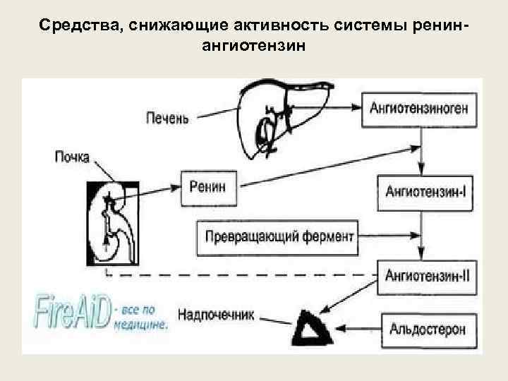 Средства, снижающие активность системы ренинангиотензин 