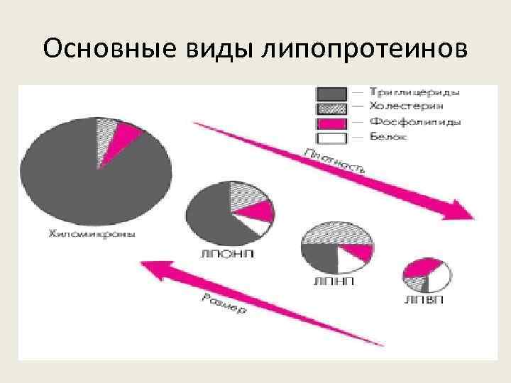 Основные виды липопротеинов 