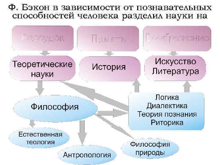 Ф. Бэкон в зависимости от познавательных способностей человека разделил науки на 