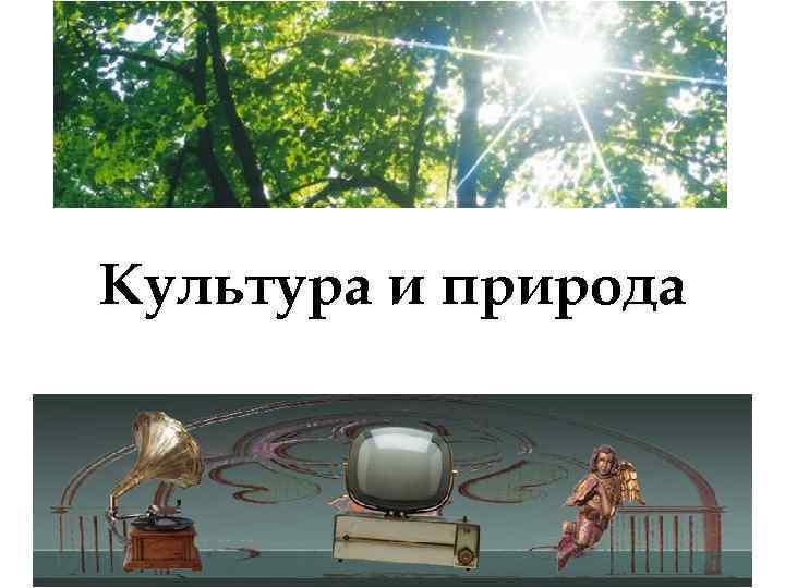 Культура и природа 