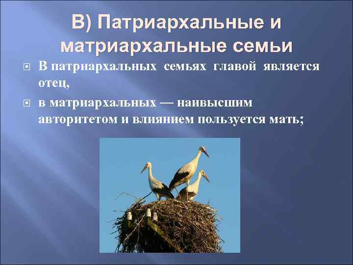 В) Патриархальные и матриархальные семьи В патриархальных семьях главой является отец, в матриархальных —