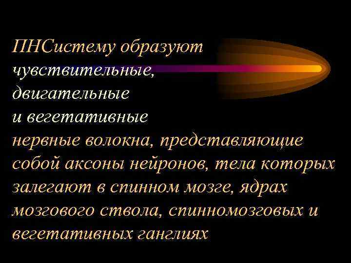 ПНСистему образуют чувствительные, двигательные и вегетативные нервные волокна, представляющие собой аксоны нейронов, тела которых