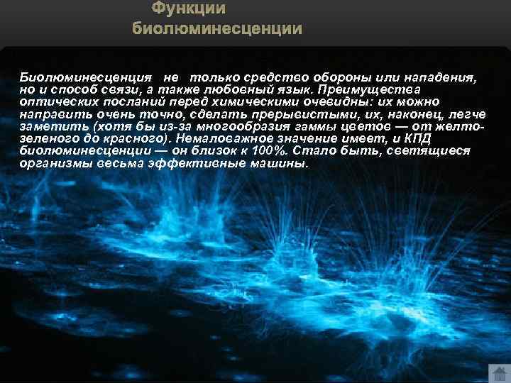 Функции биолюминесценции Биолюминесценция не только средство обороны или нападения, но и способ связи, а