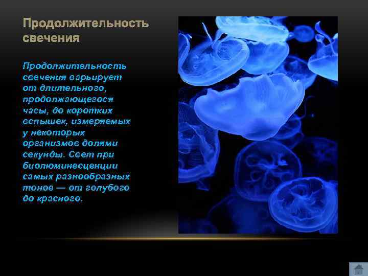 Продолжительность свечения варьирует от длительного, продолжающегося часы, до коротких вспышек, измеряемых у некоторых организмов