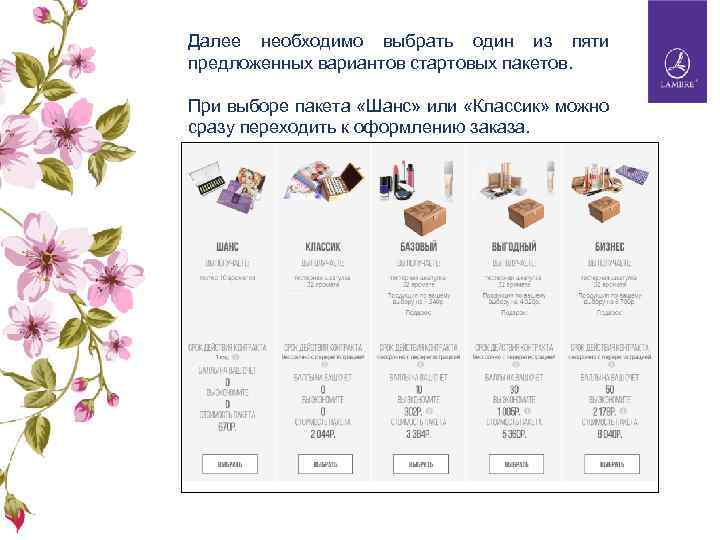 Далее необходимо выбрать один из пяти предложенных вариантов стартовых пакетов. При выборе пакета «Шанс»