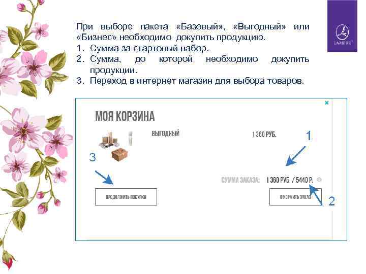 При выборе пакета «Базовый» , «Выгодный» или «Бизнес» необходимо докупить продукцию. 1. Сумма за