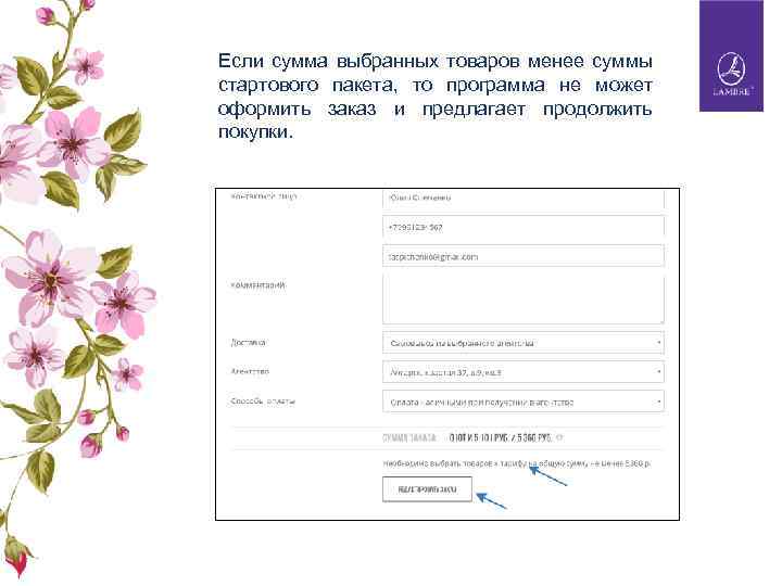 Если сумма выбранных товаров менее суммы стартового пакета, то программа не может оформить заказ