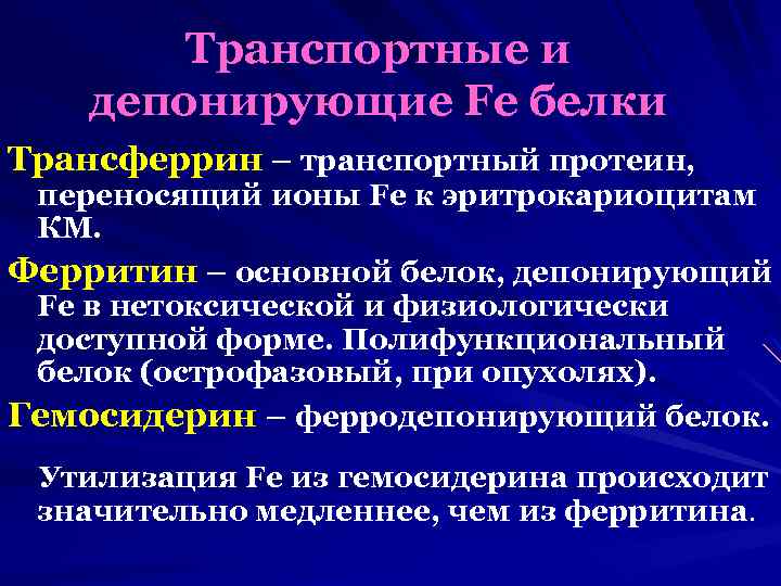 Транспортные и депонирующие Fe белки Трансферрин – транспортный протеин, переносящий ионы Fe к эритрокариоцитам