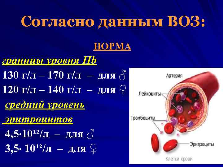 Согласно данным ВОЗ: НОРМА границы уровня Hb 130 г/л – 170 г/л – для