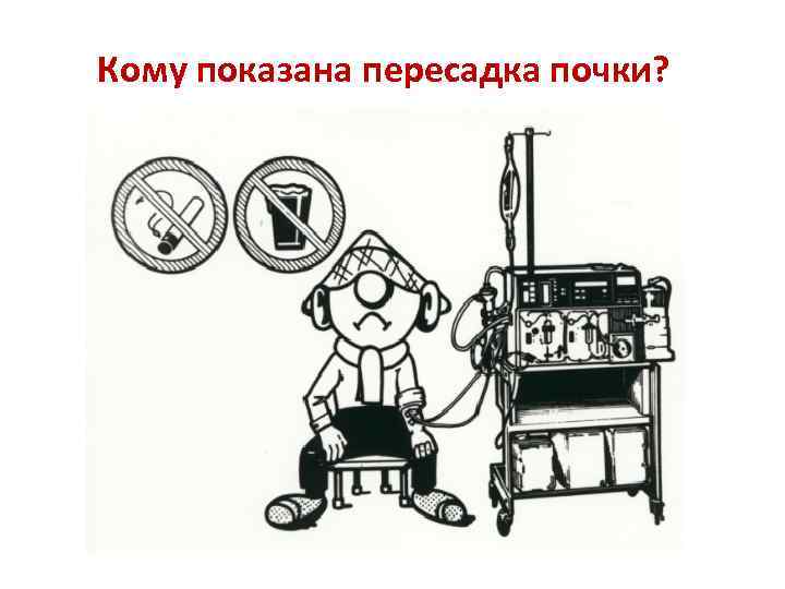 Кому показана пересадка почки? 