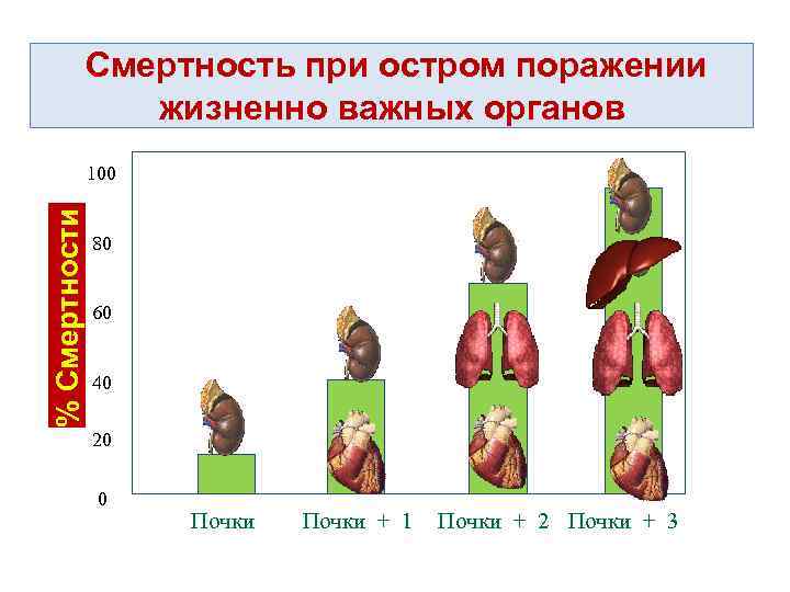 Смертность при остром поражении жизненно важных органов % Смертности 100 80 60 40 20