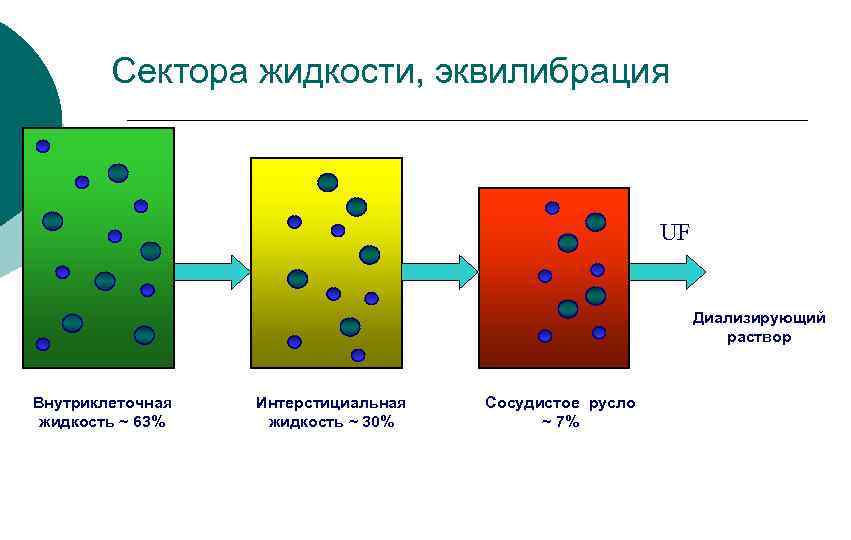 Сектора жидкости, эквилибрация UF Диализирующий раствор Внутриклеточная жидкость ~ 63% Интерстициальная жидкость ~ 30%