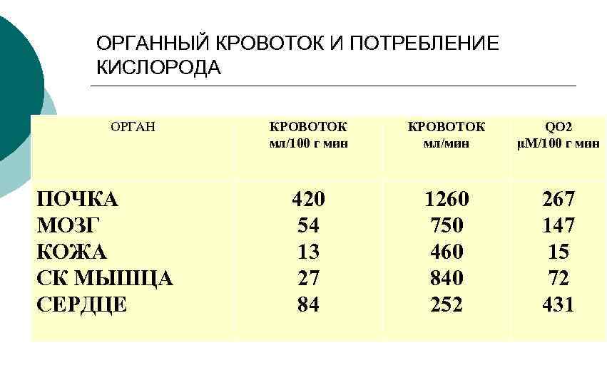 ОРГАННЫЙ КРОВОТОК И ПОТРЕБЛЕНИЕ КИСЛОРОДА ОРГАН ПОЧКА МОЗГ КОЖА СК МЫШЦА СЕРДЦЕ КРОВОТОК мл/100