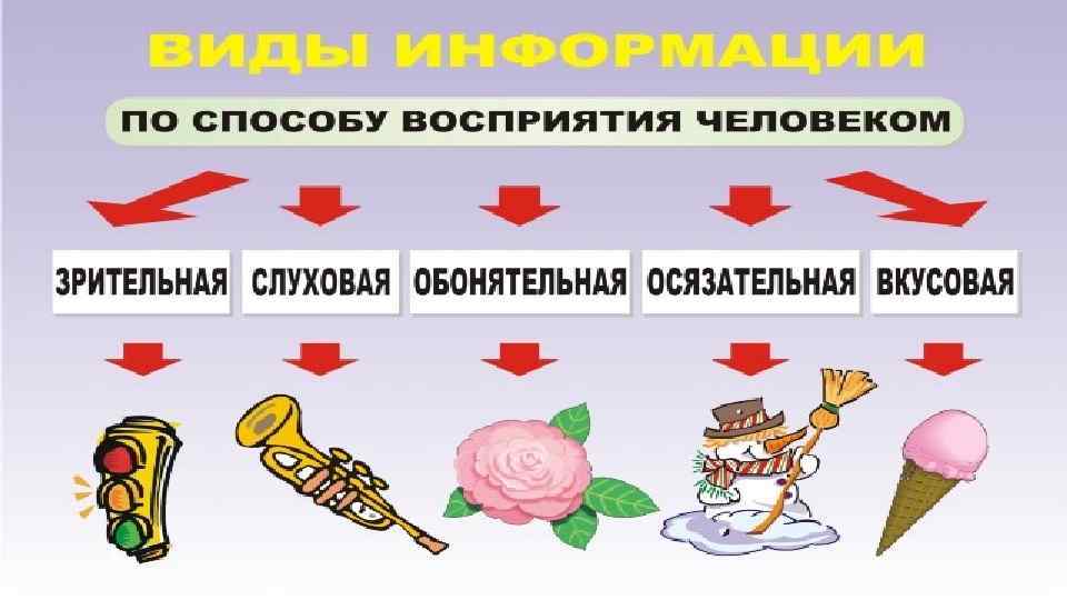 Информация виды информации. Информация по способу восприятия. Способы восприятия информации Информатика. Информация по способу восприятия человеком. Способы восприятия человека.