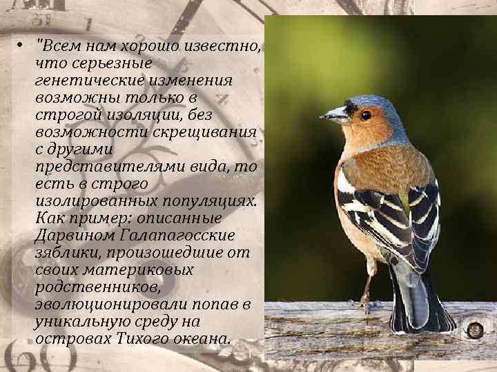 • "Всем нам хорошо известно, что серьезные генетические изменения возможны только в строгой
