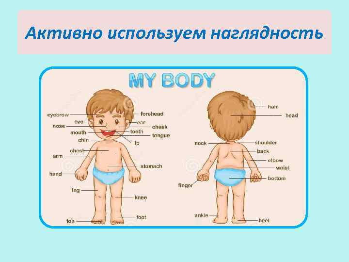 Активно используем наглядность 