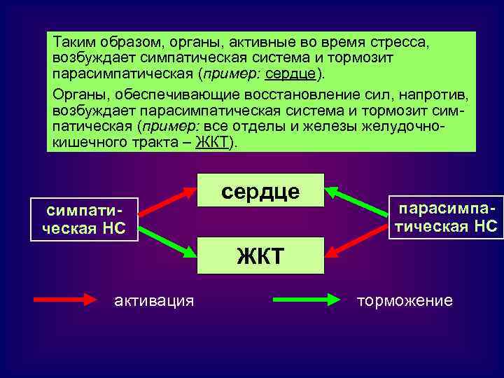 Таким образом, органы, активные во время стресса, возбуждает симпатическая система и тормозит парасимпатическая (пример: