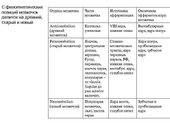 С филогенетических позиций мозжечок делится на древний, старый и новый Отделы мозжечка Части мозжечка