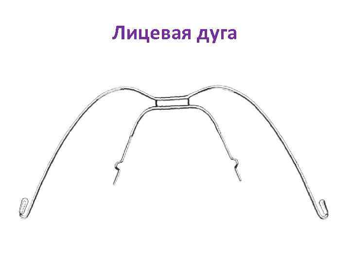 Лицевая дуга 