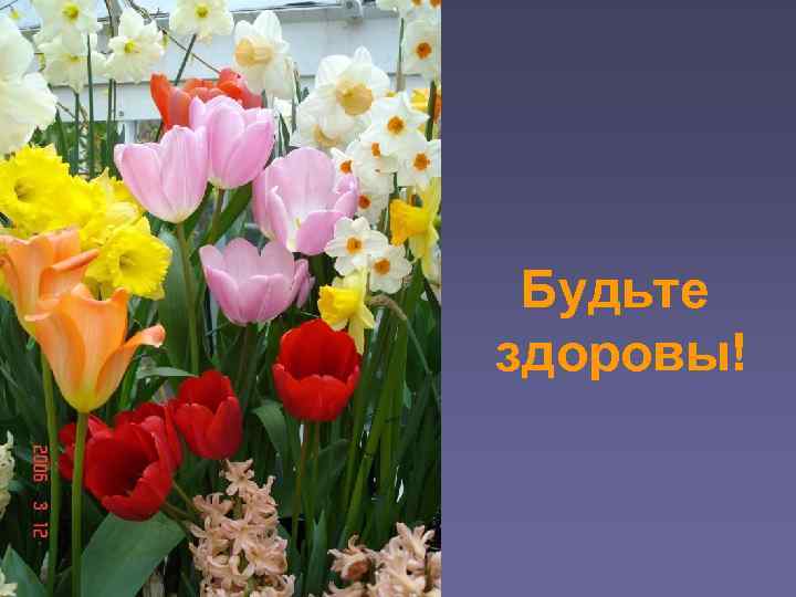 Будьте здоровы! 
