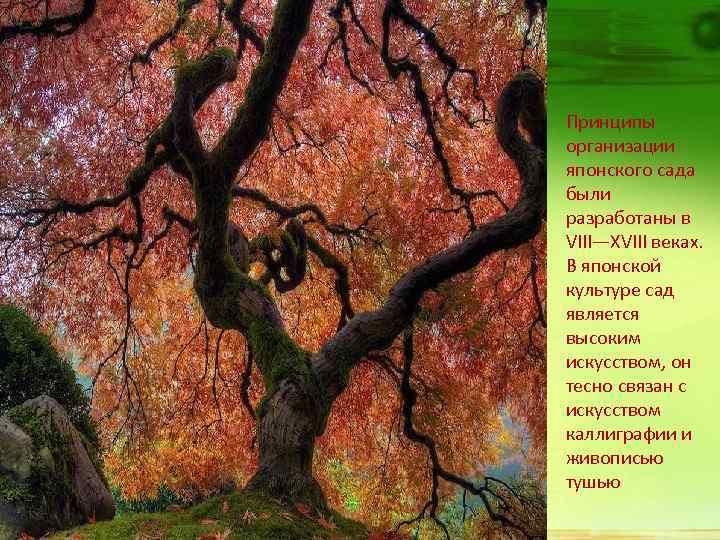 Принципы организации японского сада были разработаны в VIII—XVIII веках. В японской культуре сад является