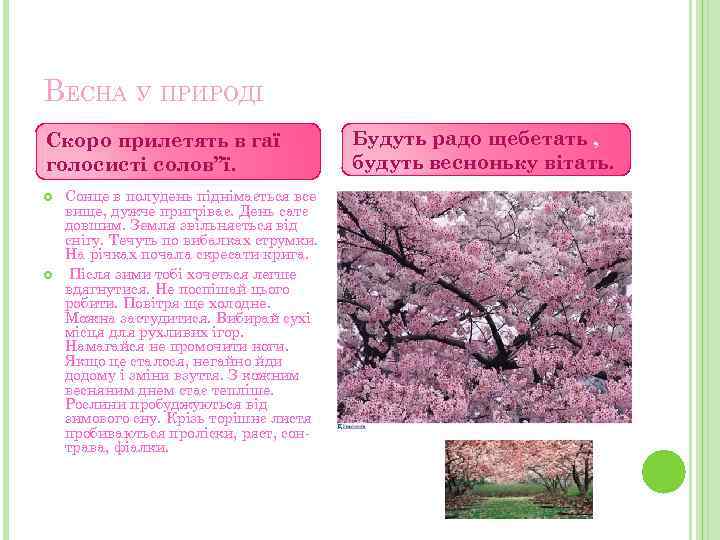 ВЕСНА У ПРИРОДІ Скоро прилетять в гаї голосисті солов”ї. Сонце в полудень піднімається все