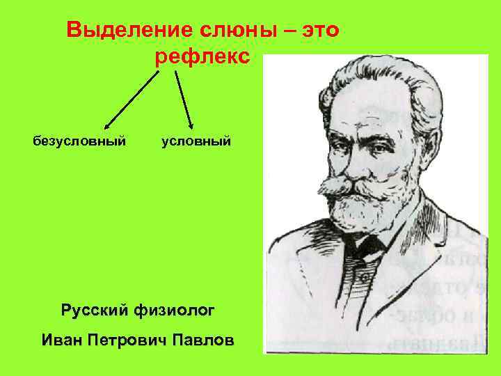 Выделение слюны – это рефлекс безусловный Русский физиолог Иван Петрович Павлов 