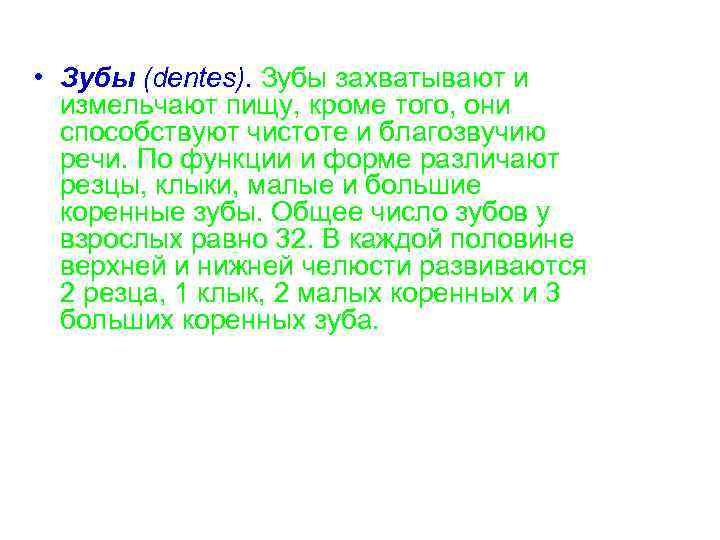  • Зубы (dentes). Зубы захватывают и измельчают пищу, кроме того, они способствуют чистоте