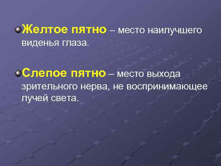 Желтое пятно – место наилучшего виденья глаза. Слепое пятно – место выхода зрительного нерва,