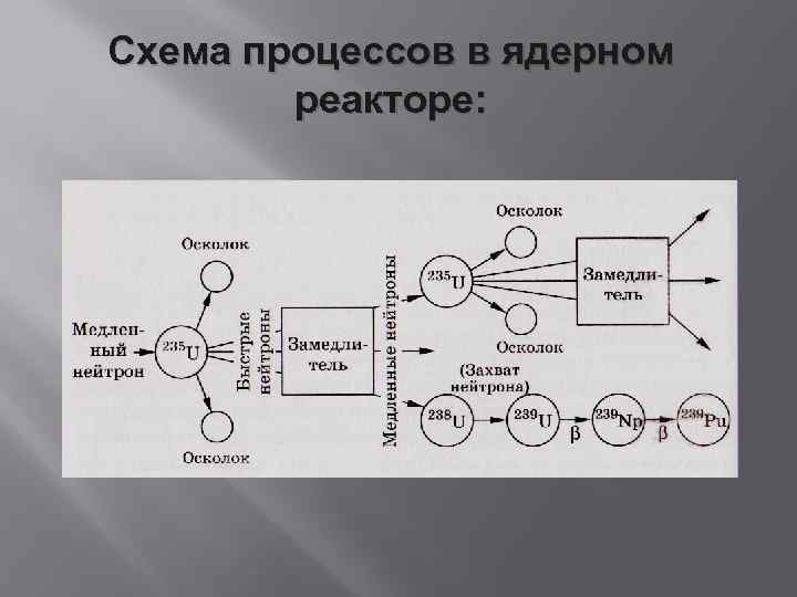 Схема процессов в ядерном реакторе: 