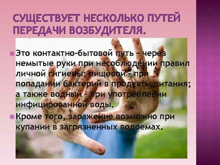 СУЩЕСТВУЕТ НЕСКОЛЬКО ПУТЕЙ ПЕРЕДАЧИ ВОЗБУДИТЕЛЯ. Это контактно-бытовой путь – через немытые руки при несоблюдении