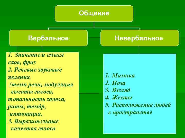 Общение Вербальное 1. Значение и смысл слов, фраз 2. Речевые звуковые явления (темп речи,