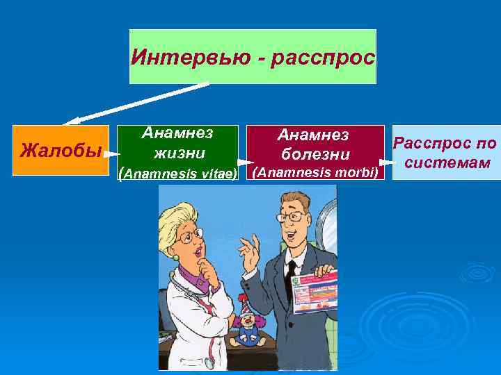 Интервью - расспрос Жалобы Анамнез жизни Анамнез болезни (Anamnesis vitae) (Anamnesis morbi) Расспрос по