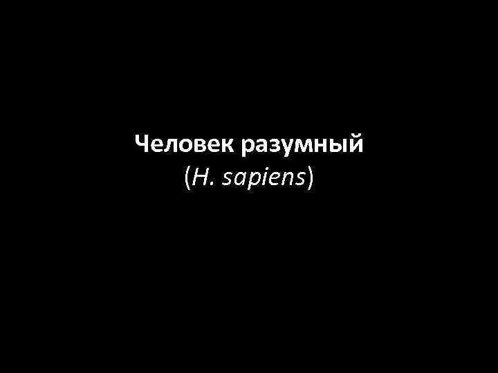Человек разумный (H. sapiens) 