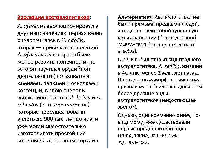 Эволюция австралопитеков: A. afarensis эволюционировал в двух направлениях: первая ветвь очеловечилась в H. habilis,