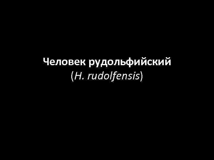 Человек рудольфийский (H. rudolfensis) 