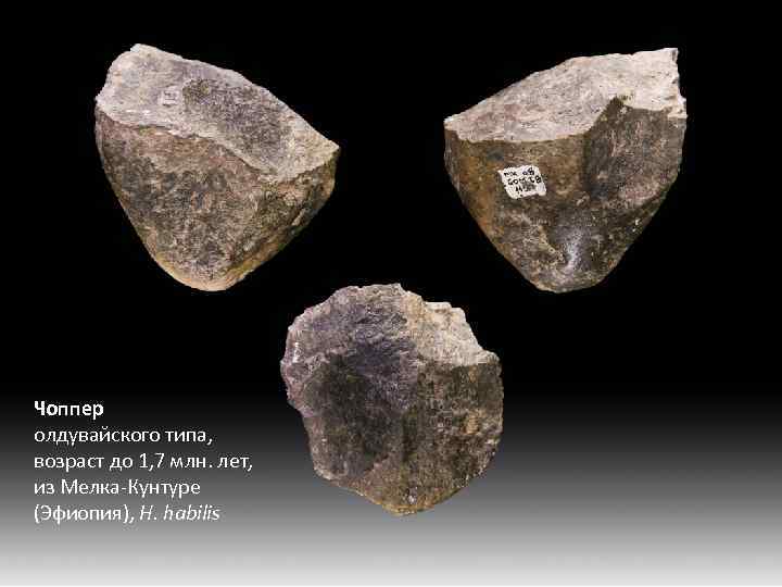 Чоппер олдувайского типа, возраст до 1, 7 млн. лет, из Мелка-Кунтуре (Эфиопия), H. habilis
