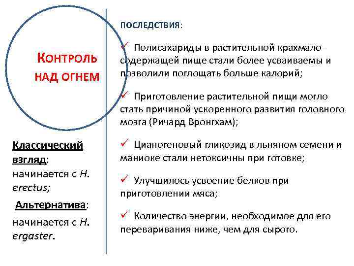 ПОСЛЕДСТВИЯ: КОНТРОЛЬ НАД ОГНЕМ ü Полисахариды в растительной крахмалосодержащей пище стали более усваиваемы и