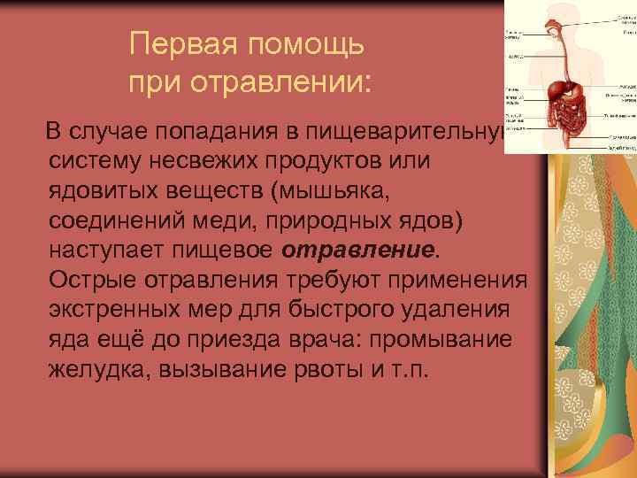 Первая помощь при отравлении: В случае попадания в пищеварительную систему несвежих продуктов или ядовитых