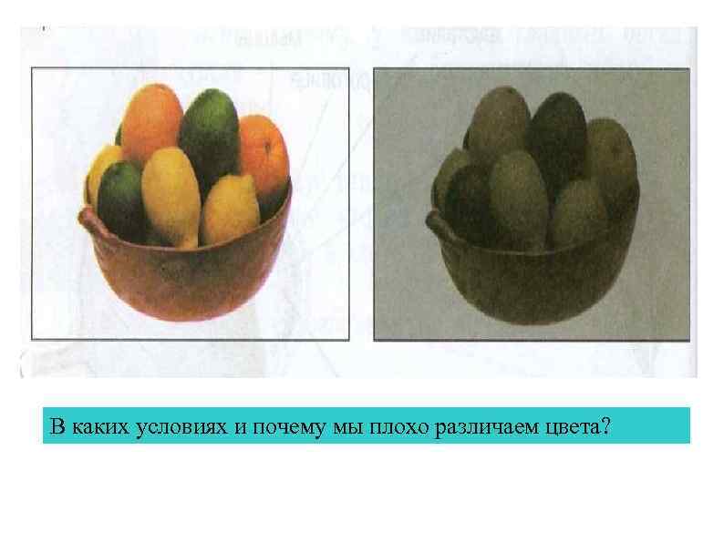 В каких условиях и почему мы плохо различаем цвета? 