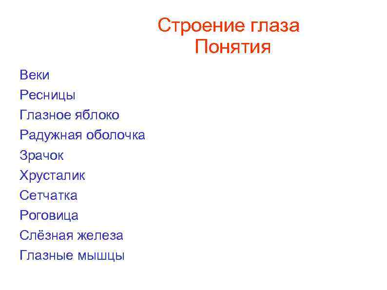 Строение глаза Понятия Веки Ресницы Глазное яблоко Радужная оболочка Зрачок Хрусталик Сетчатка Роговица Слёзная