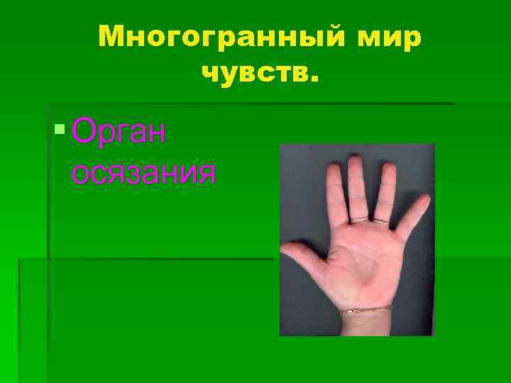 Многогранный мир чувств. § Орган осязания 