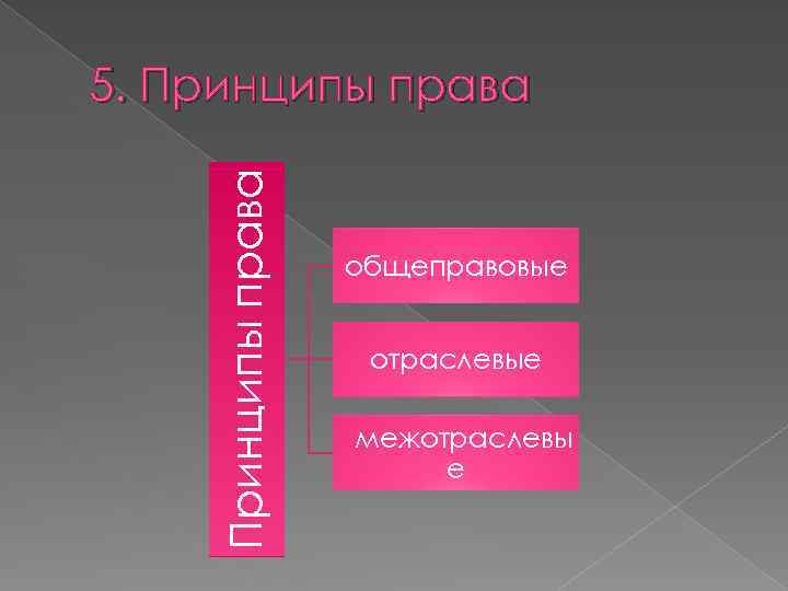 Принципы права 5. Принципы права общеправовые отраслевые межотраслевы е 