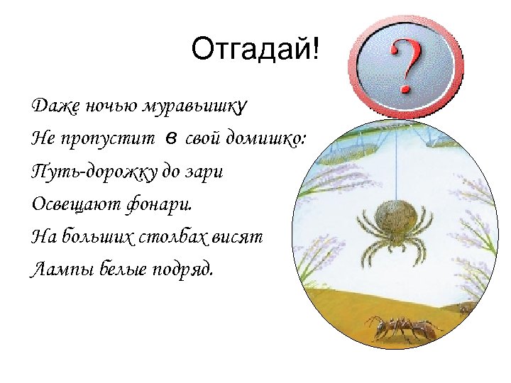 Отгадай! Даже ночью муравьишку Не пропустит в свой домишко: Путь-дорожку до зари Освещают фонари.