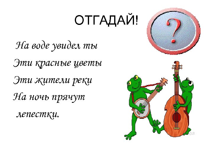 ОТГАДАЙ! На воде увидел ты Эти красные цветы Эти жители реки На ночь прячут